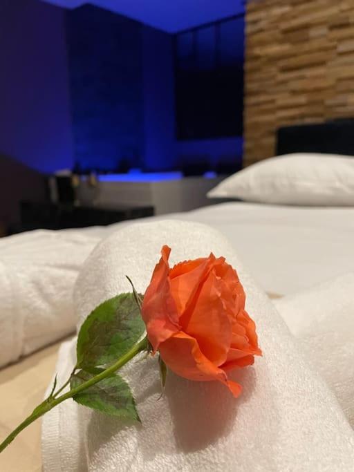 Le Cocon Des Granges - Suite Sauna Jaccuzi Spa Bonnieres-sur-Seine Extérieur photo